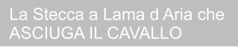 La Stecca a Lama d Aria che  ASCIUGA IL CAVALLO